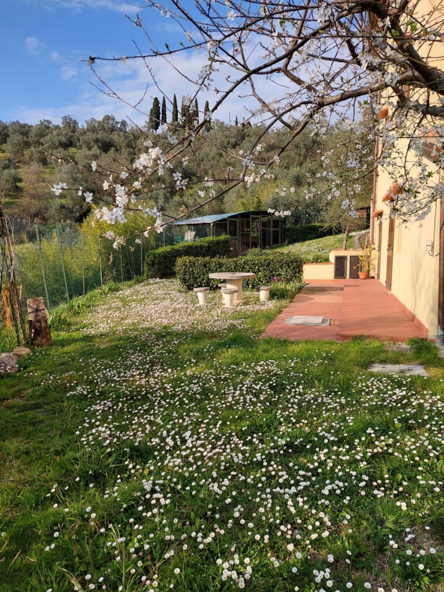Dependance Nel Chianti A Pochi Minuti Da Firenze Apartment Impruneta Luaran gambar
